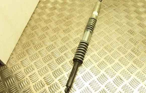 Tailgate strut