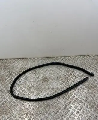 Porsche 911 997 Rubber seal front coupe door 99753707604 528711R