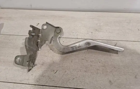 Renault Laguna III Engine bonnet/hood hinges 654000001R
