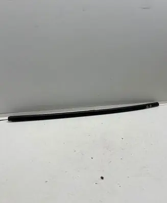 Renault Zoe Rear door glass trim molding