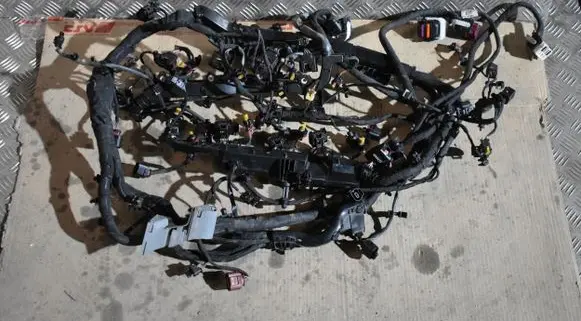 Porsche Panamera (971) Wiring harness 