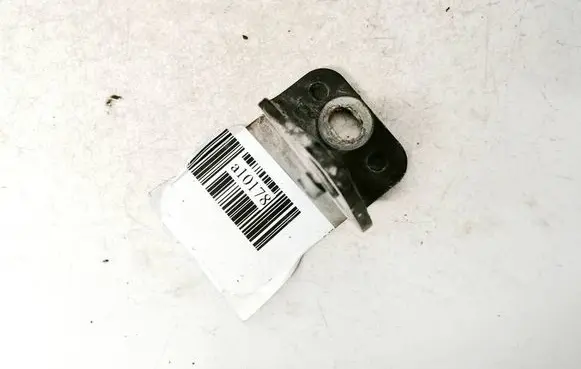 Volkswagen Touran I Rear door lower hinge