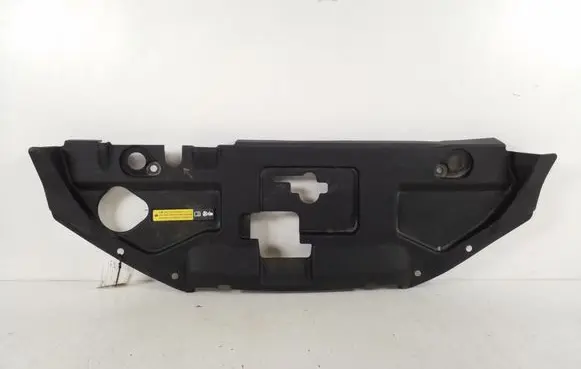 Engine bonnet/hood lock trim molding