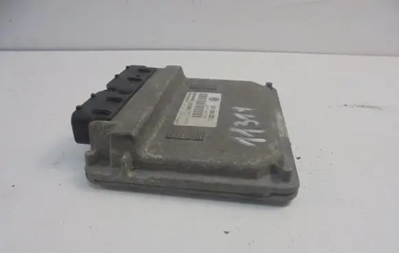 Engine control unit/module ECU