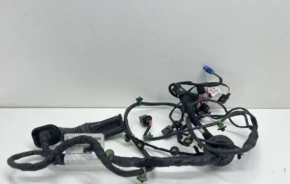 Porsche Panamera (971) Front door wiring loom TAB052204 971971035 971971122