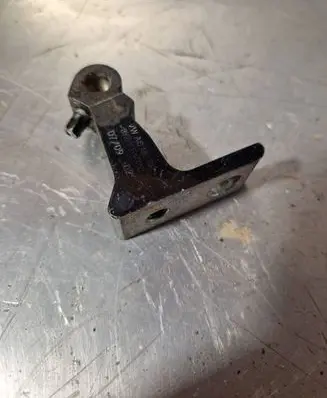 Rear door lower hinge