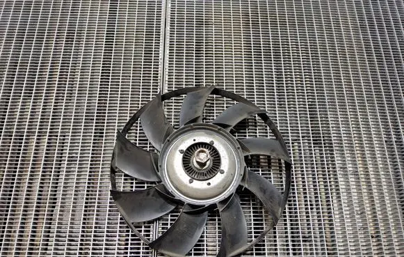 Land Rover Range Rover Sport L320 Viscous fan clutch AH328C617AE