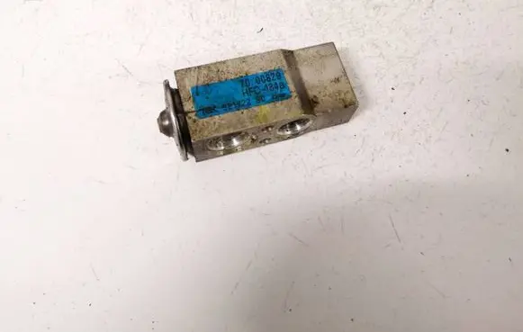 Citroen Xsara Picasso Air conditioning (A/C) expansion valve 52172290