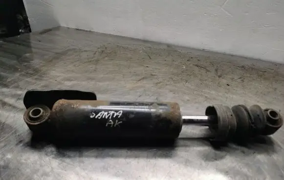 Hyundai Santa Fe Rear shock absorber/damper