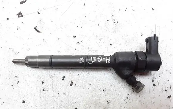 Hyundai Getz Fuel injector 0445110256 338002A400