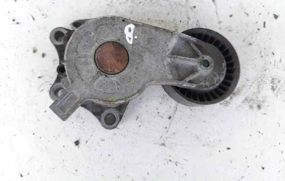 Citroen C3 Generator/alternator belt tensioner 9676854880 E5082A111560