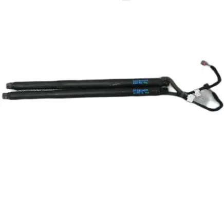 Tailgate strut