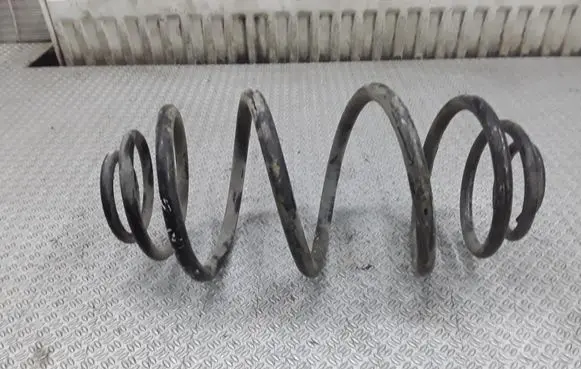 Rear coil spring