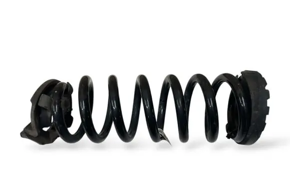 Rear coil spring