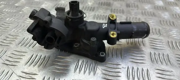Thermostat/thermostat housing