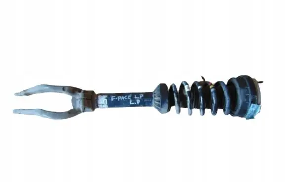 Jaguar F-Pace Front shock absorber with coil spring HK8318B036ME