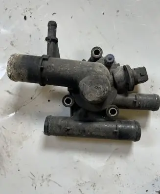 Thermostat/thermostat housing
