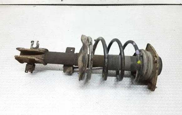 Fiat Multipla Front shock absorber with coil spring