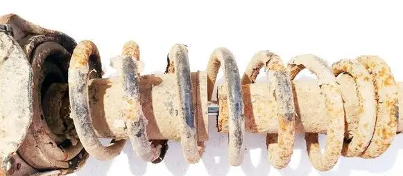 Rear coil spring
