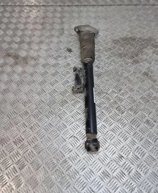 Land Rover Range Rover Sport L461 Rear shock absorber/damper N9X218W003BF