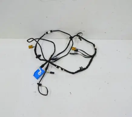 Front door wiring loom