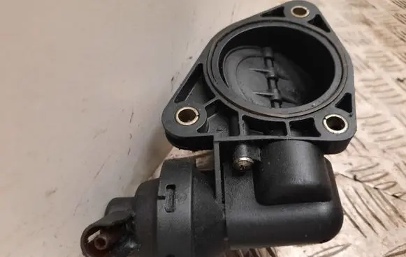 Peugeot Boxer Throttle valve 9638246680