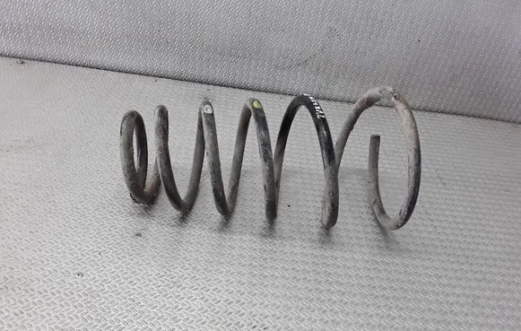 Rear coil spring
