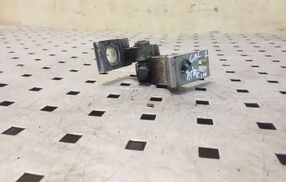 Rear door lower hinge