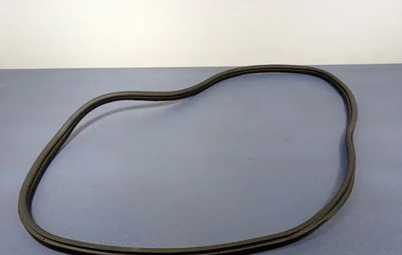 BMW 1 F40 Front door rubber seal 7452341