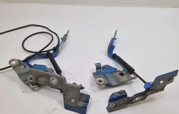 Renault Zoe Engine bonnet/hood hinges 654825654R