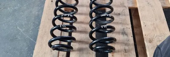 Rear coil spring