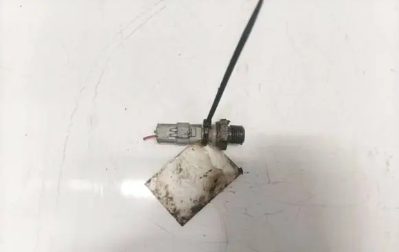 Peugeot 307 Oil level sensor 