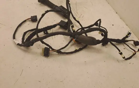 BMW X7 G07 Front door wiring loom 8779803