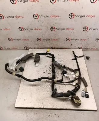 Renault Kadjar Front door wiring loom 241247627R
