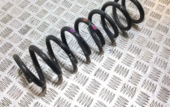 Ford Kuga II Rear coil spring