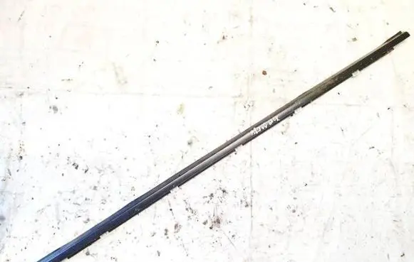 Rear door glass trim molding