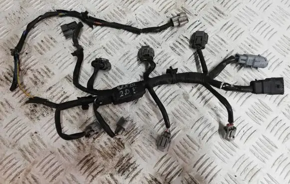 Renault Scenic III - Grand scenic III Fuel injector wires 