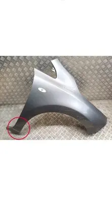 Nissan Leaf I (ZE0) Fender