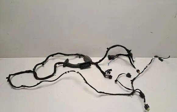 BMW X7 G07 Front door wiring loom 5A47901