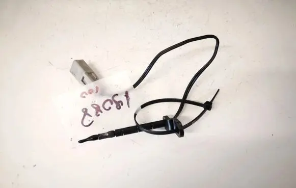 Interior temperature sensor