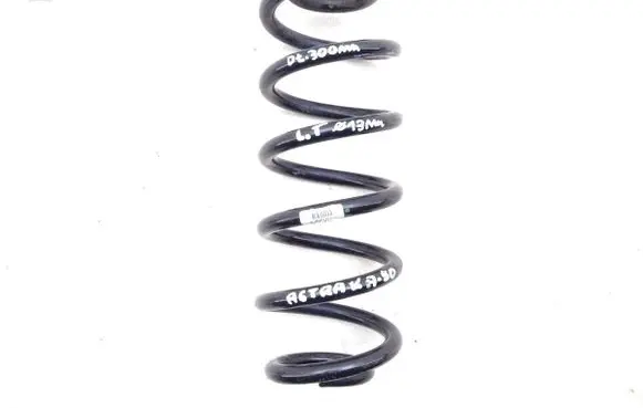 Mitsubishi Pajero Rear coil spring