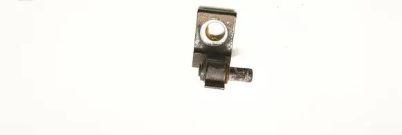 Volkswagen Touareg II Front door lower hinge 
