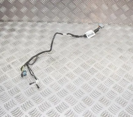 Tesla Model S Other wiring loom 104132200G