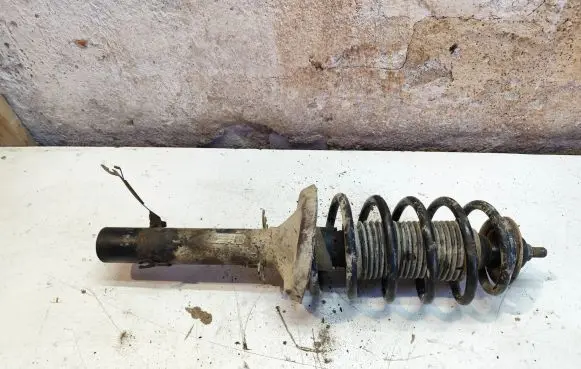Seat Leon (1M) Front shock absorber with coil spring 1J0413031C
