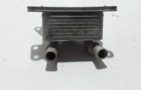 Oil filter mounting bracket