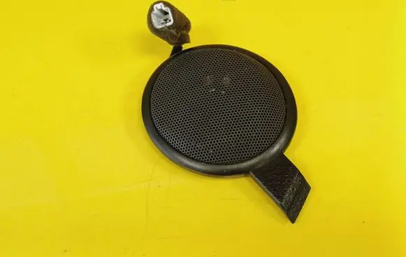 KIA Carnival Panel speaker 