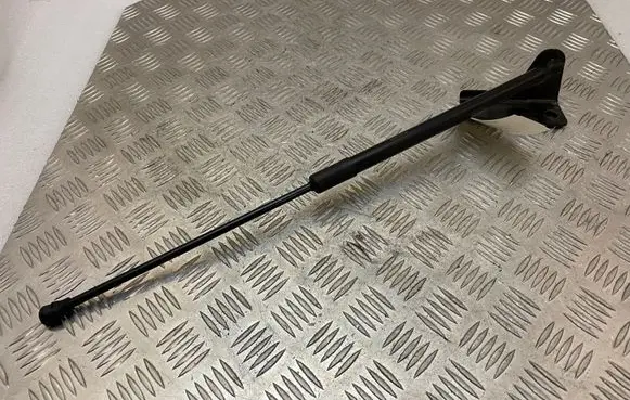 Peugeot 3008 II Tailgate/trunk strut/damper 9841149780