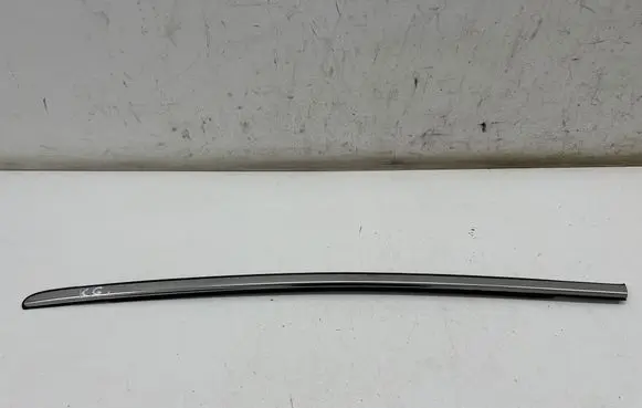 Ford Ecosport Rear door glass trim molding