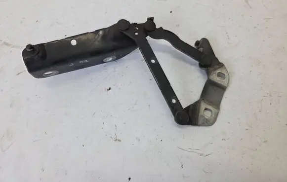 Land Rover Evoque I Engine bonnet/hood hinges 6H52-16800-AC