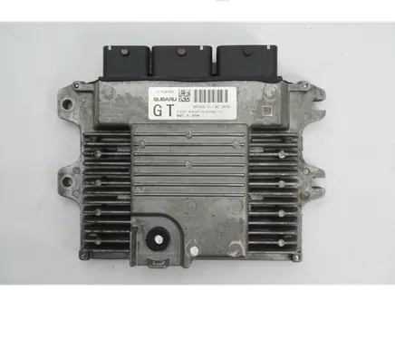 Engine control unit/module ECU
